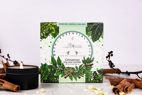Cinnamon Essential Oil Candles | Handmade