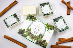 Cinnamon Essential Oil Wax Melts | Handmade